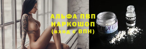 стаф Михайловск