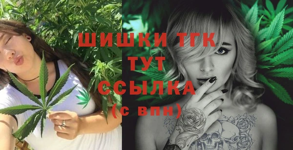 стаф Михайловск