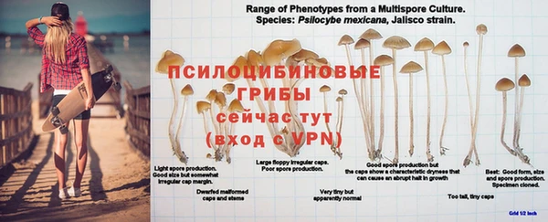дмт Михайловка