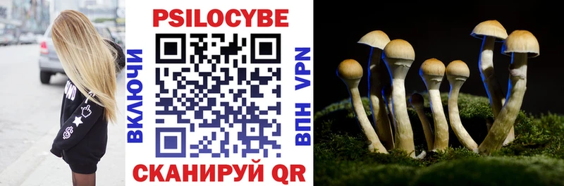 купить наркоту Пролетарск Галлюциногенные грибы Cubensis